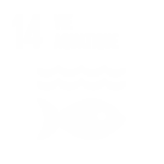 odd 14 vie aquatique