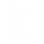 odd 15 vie terrestre