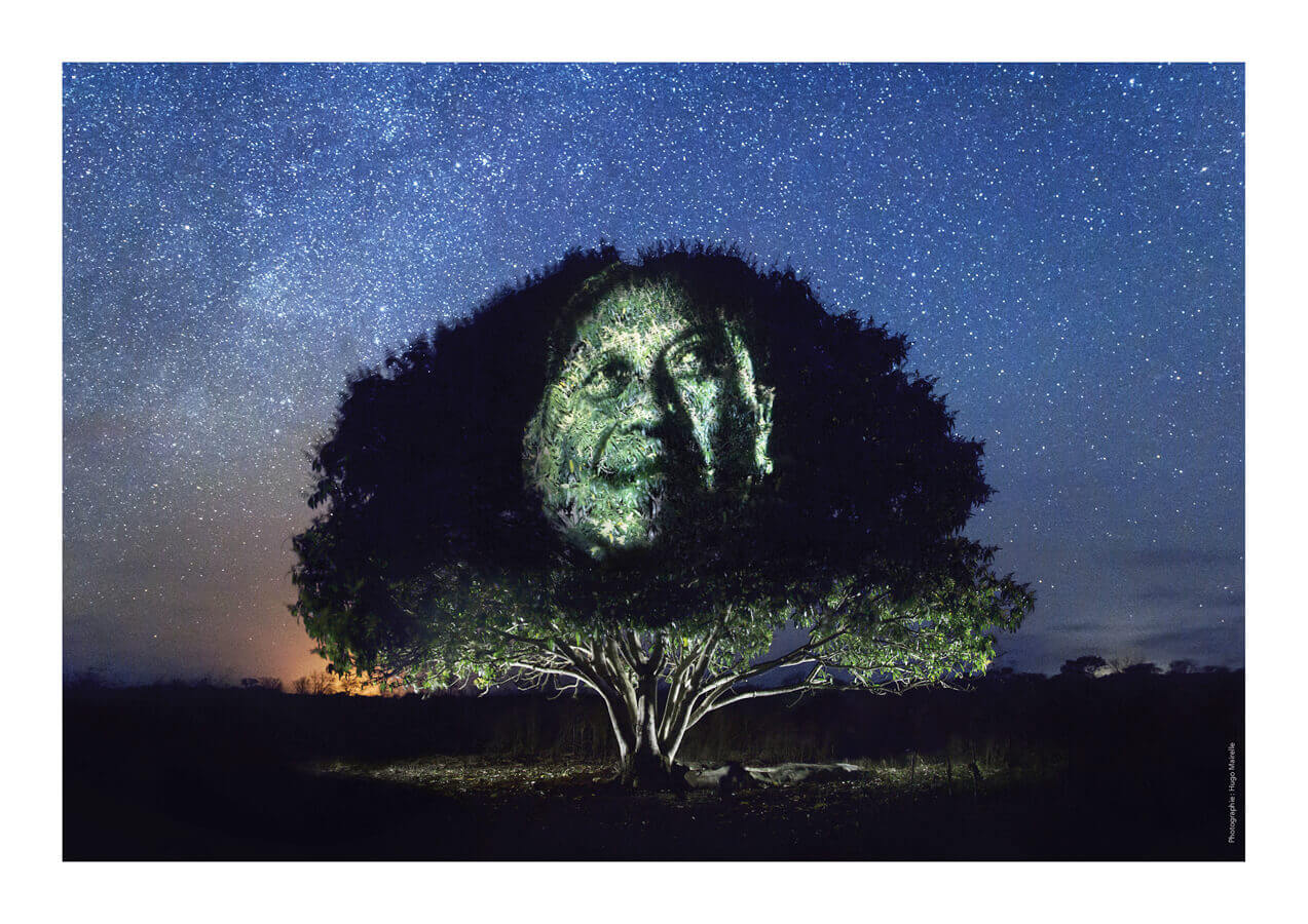 street art jungle maya