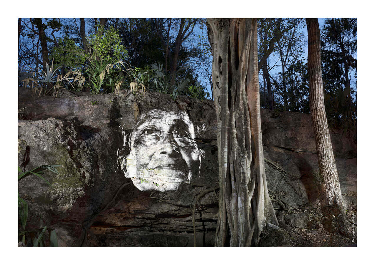 street art jungle maya