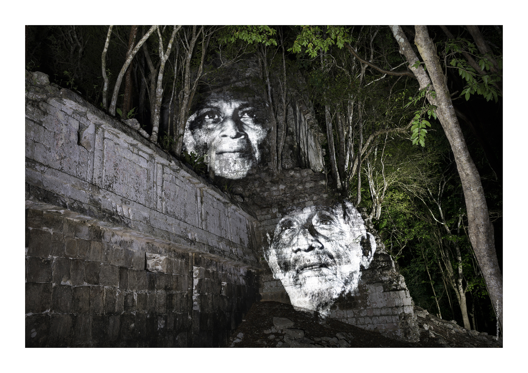 street art jungle maya