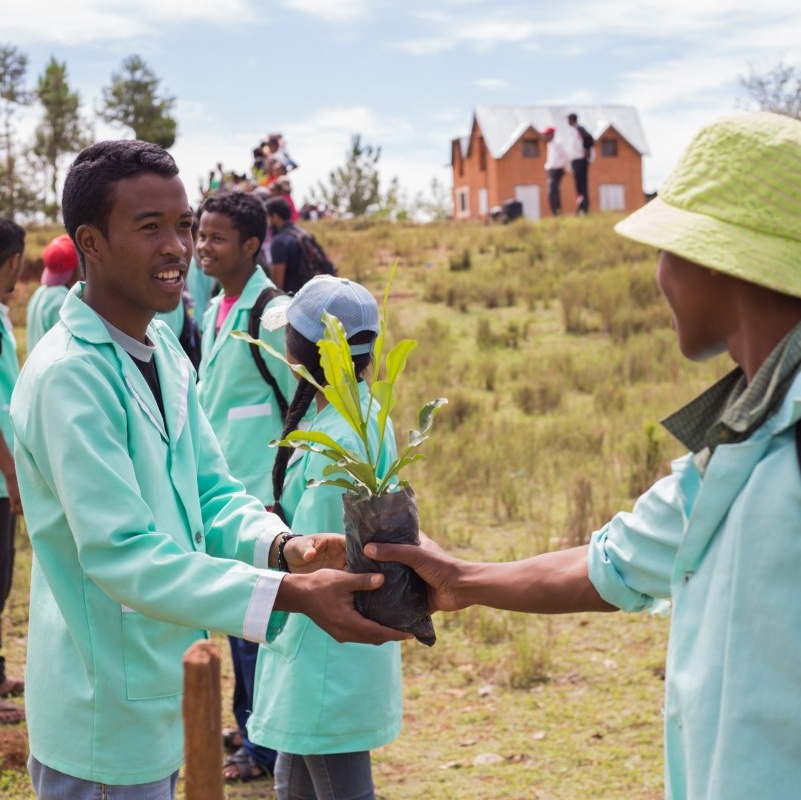 🇲🇬 Madagascar – Projet de reforestation d’espèces endémiques