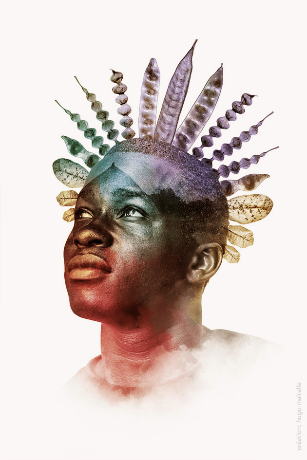 photographie art arbre