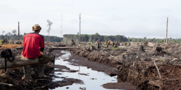 Total : Non à l’huile de palme dans le biocarburant