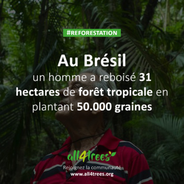 En 40 ans, ce Brésilien a reboisé 31 hectares de la forêt tropicale en replantant 50 000 graines