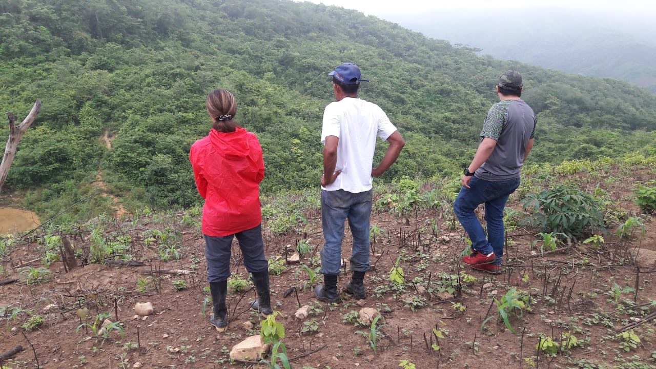 projet agroforesterie