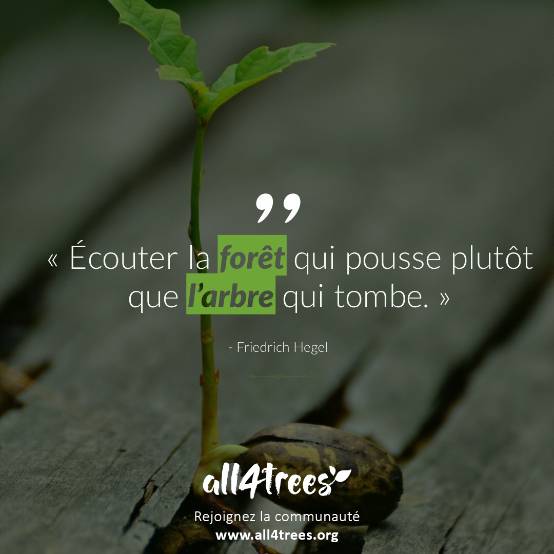 Citation Ecoutez La Foret Qui Pousse Plutot Que L Arbre Qui Tombe