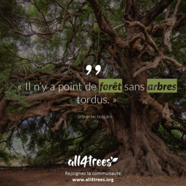 Citation #10 – Arbre & Forêt