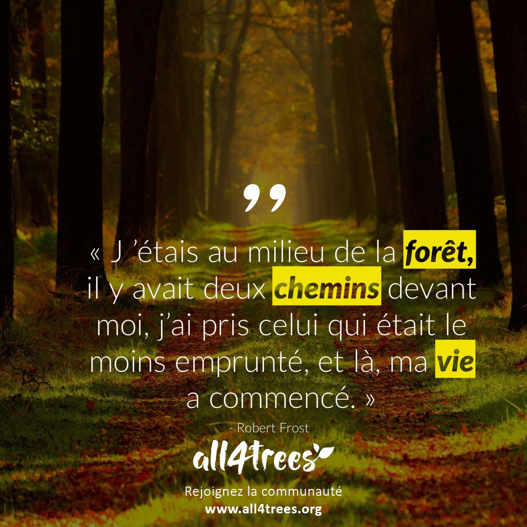 Citation Jétais Au Milieu De La Forêt Il Y Avait Deux Chemins