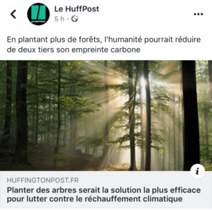 planter arbre climat