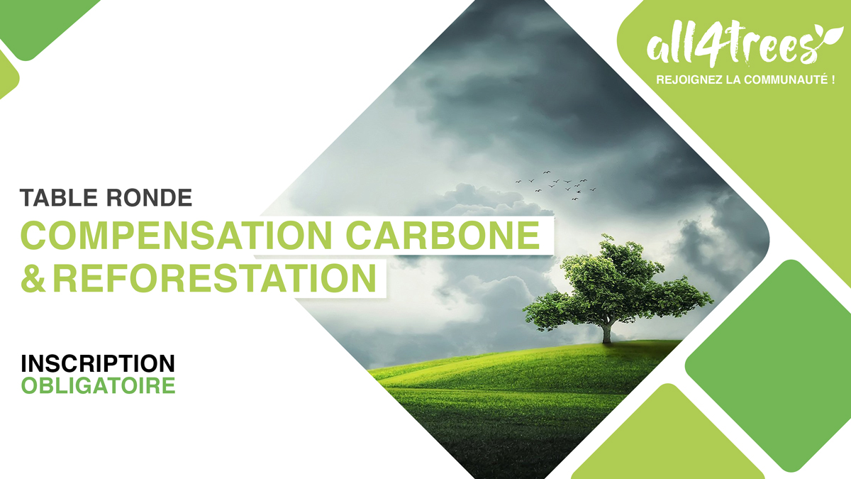 compensation carbone et reforestation