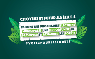 Élections municipales : une opportunité pour préserver les forêts !
