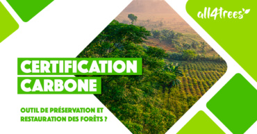 Les mécanismes de “certification carbone” sont-ils adaptés aux projets de préservation et restauration des forêts ?