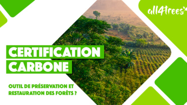 Les mécanismes de “certification carbone” sont-ils adaptés aux projets de préservation et restauration des forêts ?