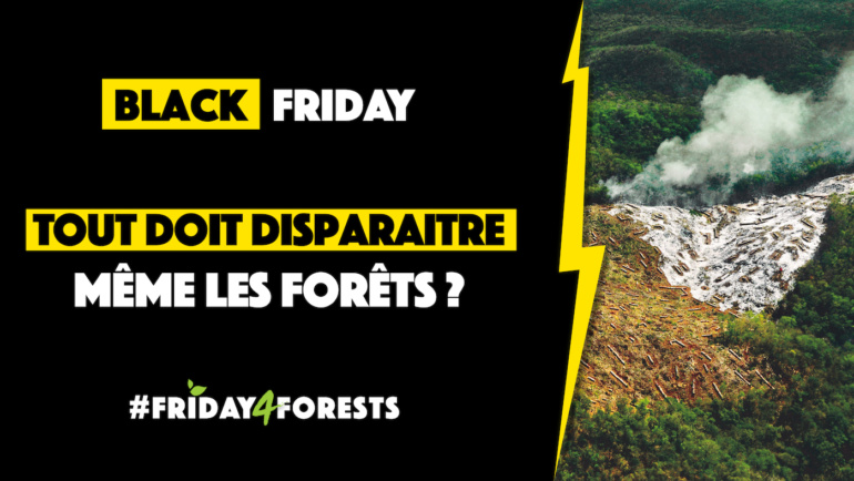 #Friday4Forests – Tout doit disparaître ! Même les forêts ?