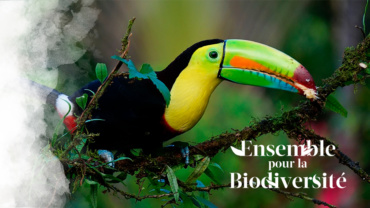 Ensemble pour la Biodiversité !