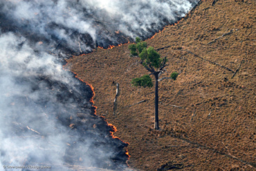 [TRIBUNE] Déforestation en Amazonie et nouvelle saison record d’incendies au Brésil : les ONG tirent la sonnette d’alarme !