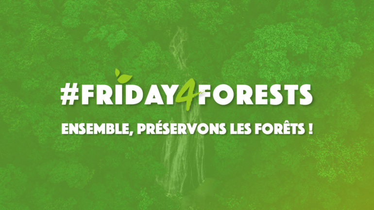 #Friday4Forests – Le Black Friday détruit nos forêts !