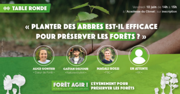 Table ronde – Planter des arbres est-il efficace pour préserver les forêts ?