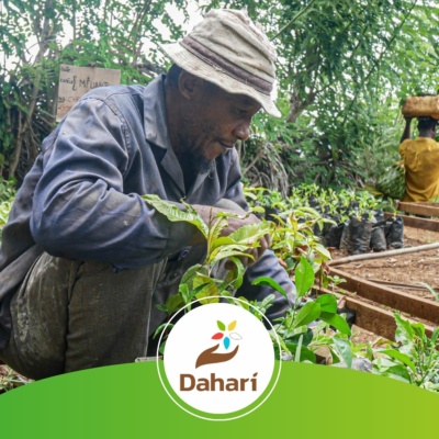 DAHARI_projet reforestation Comores - ANjouan _ All4trees