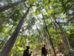 Carnet de bord #17 : à la découverte de la forêt d’Ambara