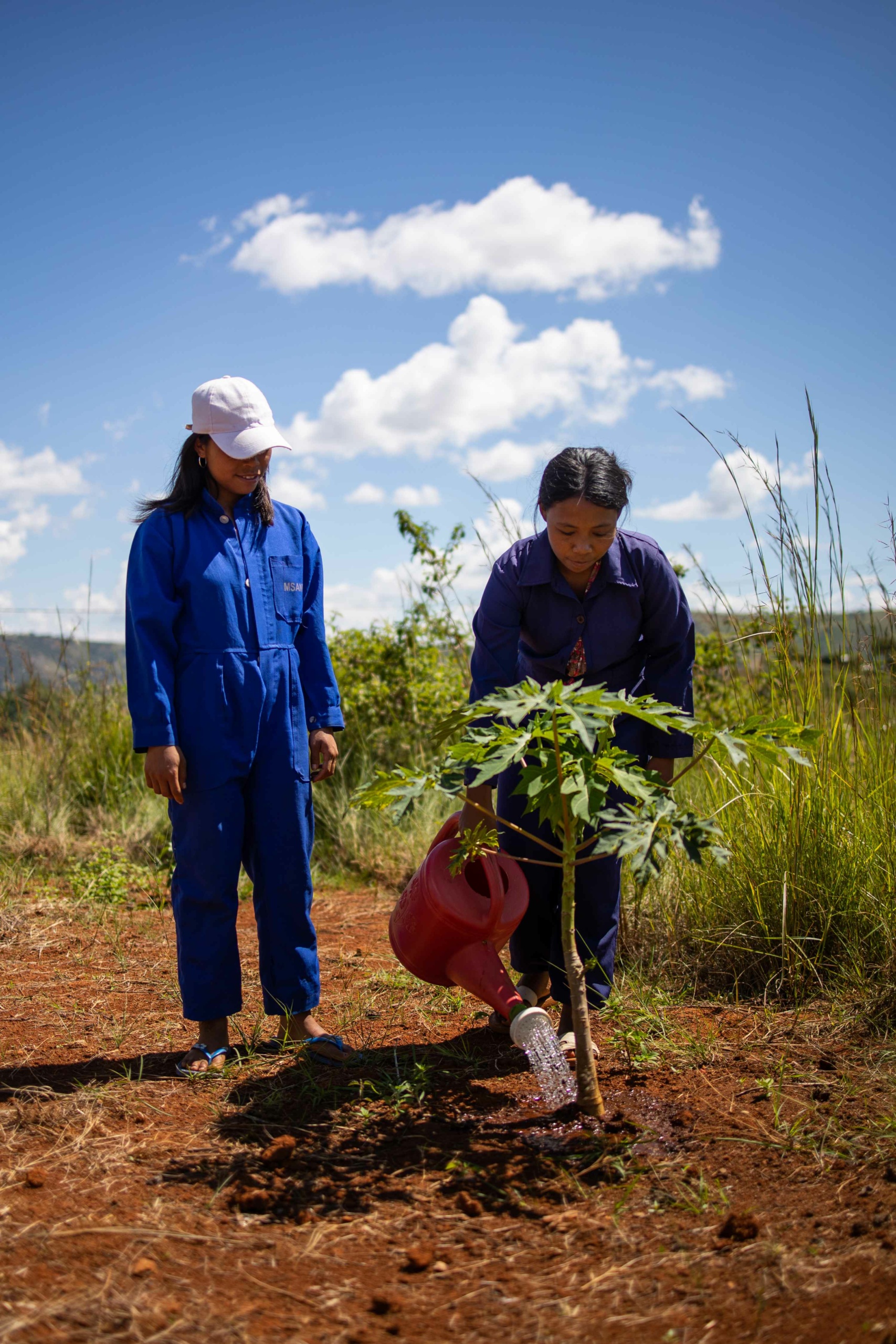 Plantations_CDF_Mada Plantation, mise en défens, entretien… La restauration est un travail de longue haleine !
© Rémi Portier