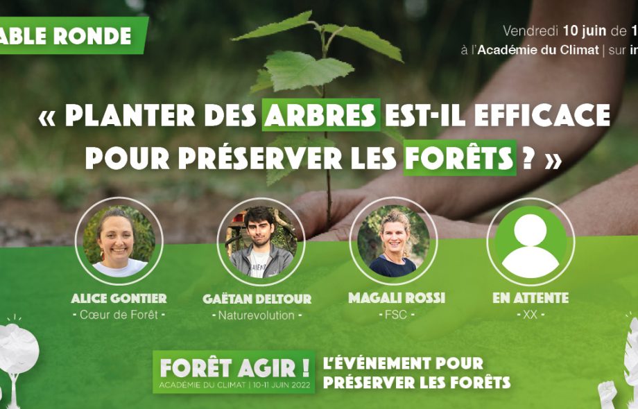 Table ronde – Planter des arbres est-il efficace pour préserver les forêts ?