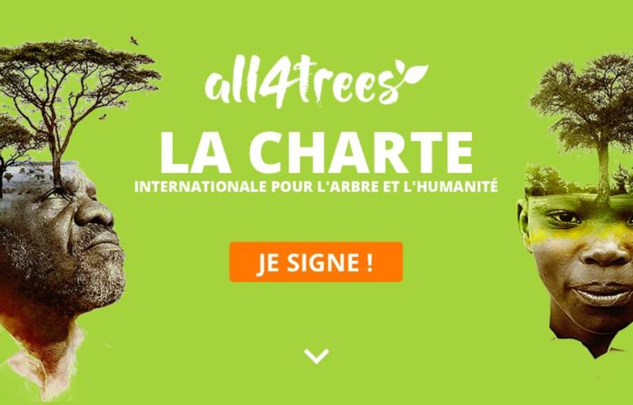 Découvrez la Charte all4trees