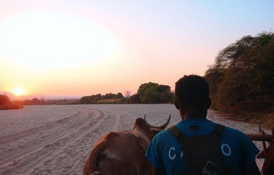 Carnet de mission #7 : le démarrage des inventaires forestiers !