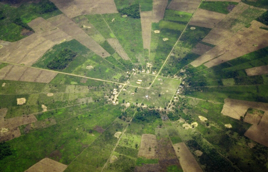 Le classement des 500 organisations qui influencent la déforestation