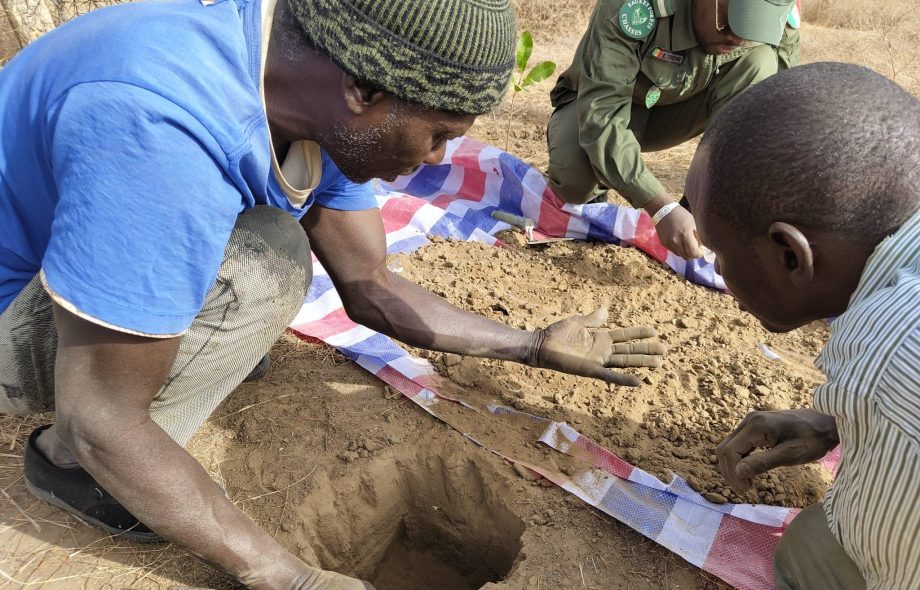 Carnet de bord#12 : sillonnons les forêts et découvrons ses sols !
