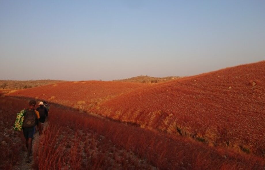 Carnet de mission #6 : 2e partie des enquêtes dans le Makay Nord