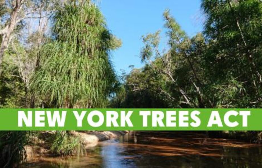 Le « TREES Act », vers un EUDR à l’américaine ?