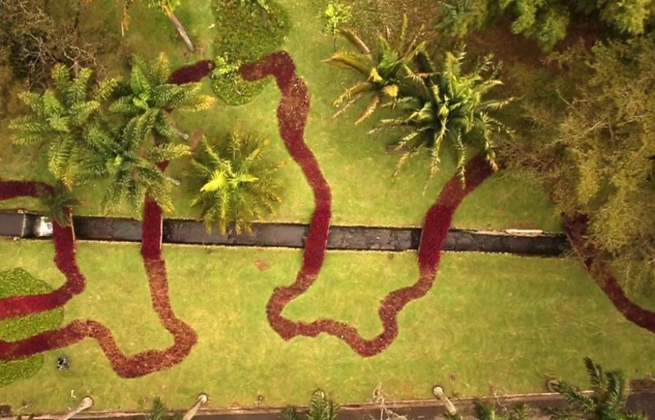 Quand l’art et la nature ne font qu’un !