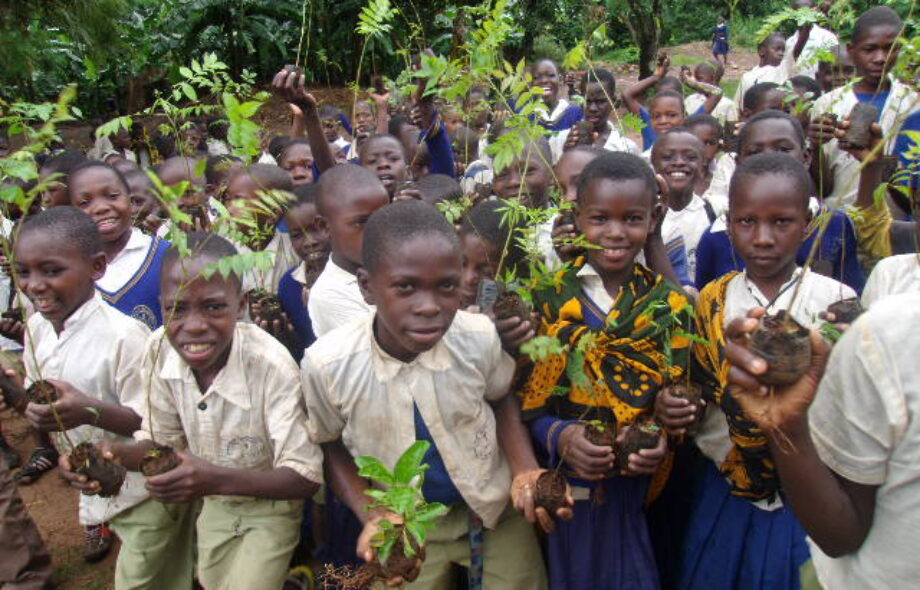 Nouveau projet artistique #art4trees en Tanzanie !