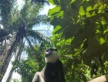 Carnet de bord #19 : l’arrivée au Bénin !