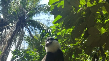 Carnet de bord #19 : l’arrivée au Bénin !