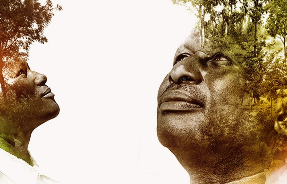 Témoignage : l’agroforesterie en Tanzanie