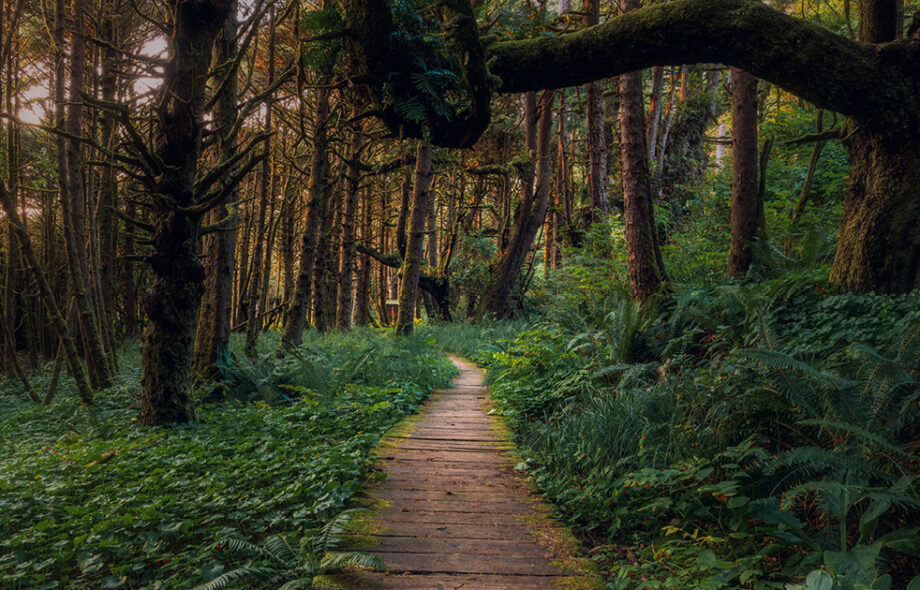 Nos actions prioritaires en 2021 !