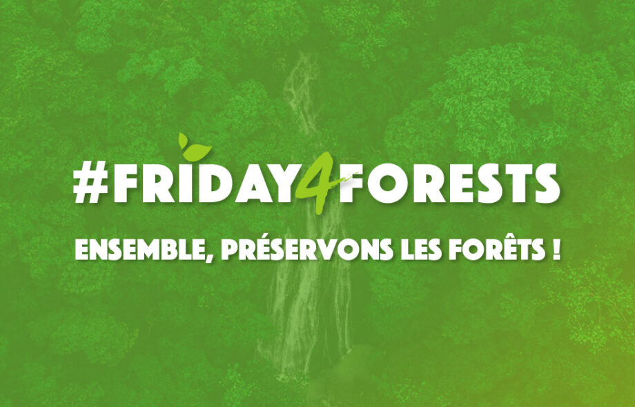 #Friday4Forests – Le Black Friday détruit nos forêts !