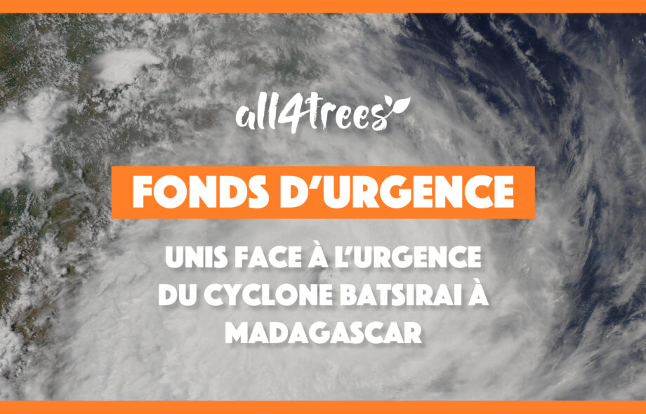Unis face à l’urgence du Cyclone Batsirai à Madagascar
