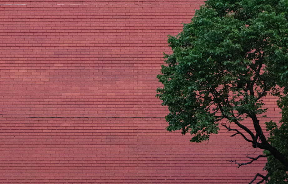 [ÉDITO] COP26 ou la grandiloquence de l’arbre qui cache l’inaction