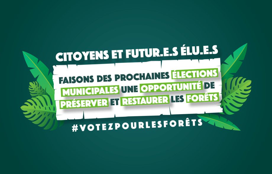 Élections municipales : une opportunité pour préserver les forêts !