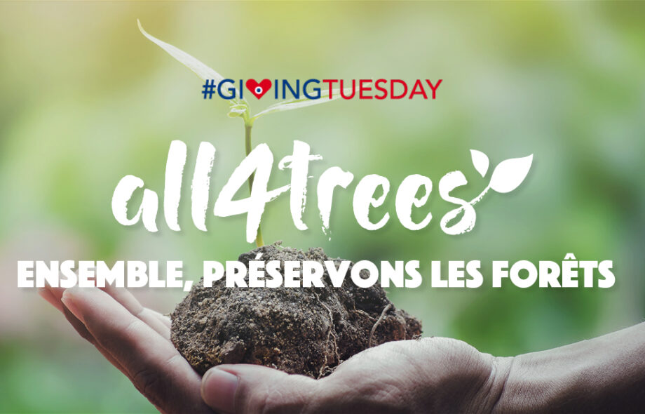 #GivingTuesday – Libérez votre générosité pour préserver les forêts !