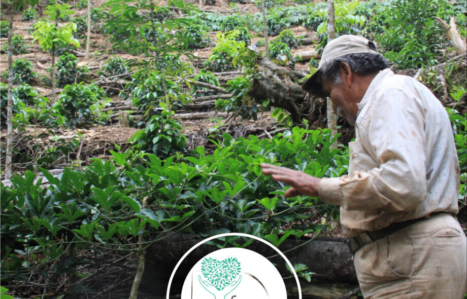 🇧🇴 Bolivie – Projet d’agroforesterie pour préserver la forêt tropicale humide des Yungas