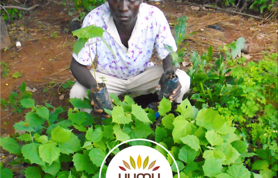 🇧🇯 Bénin – Projet d&rsquo;agroforesterie et de préservation du Parc national de la Pendjari