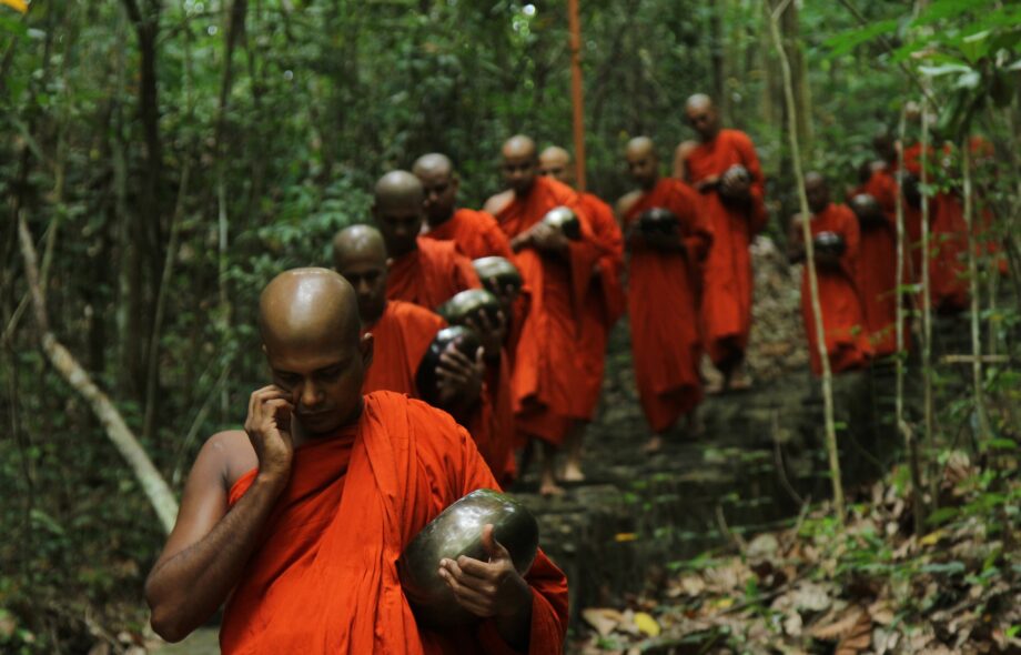 Les arbres moines en Thaïlande : lutter contre la déforestation autrement