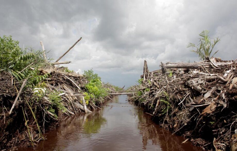 Indonésie : Un paradis perdu