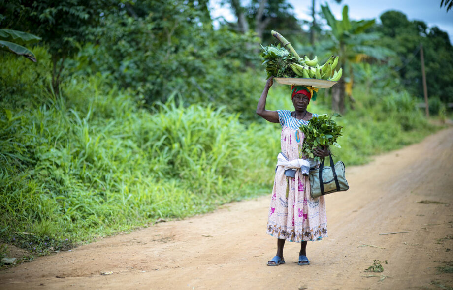 L’agroforesterie peut-elle venir au secours de l’Afrique ?