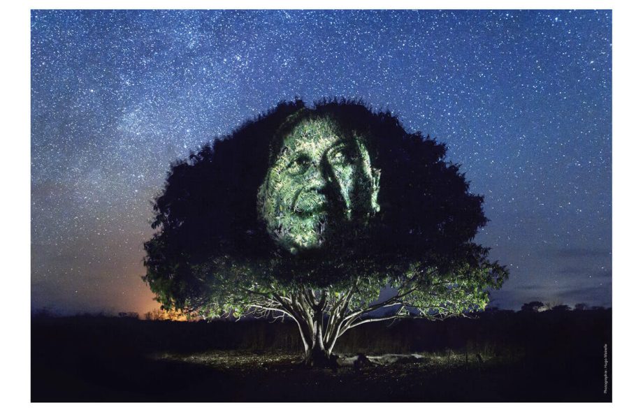 Street’Art dans la Jungle Maya